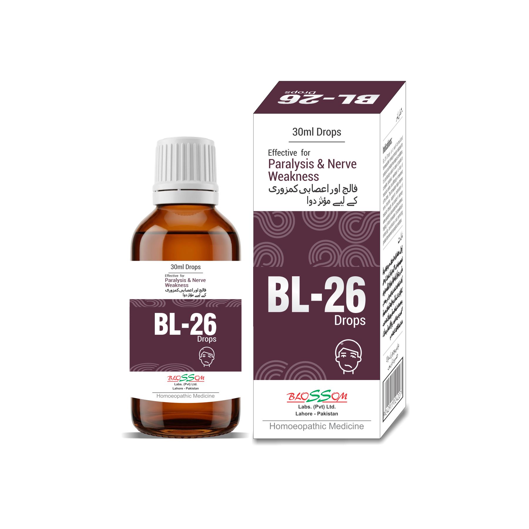 BL-26 for Paralysis, Paraesthesia
