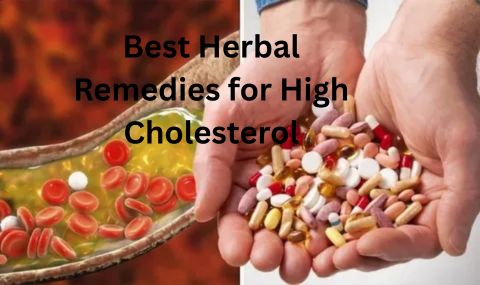 Natural Remedies for High Cholesterol in Pakistan – Safe & Effective