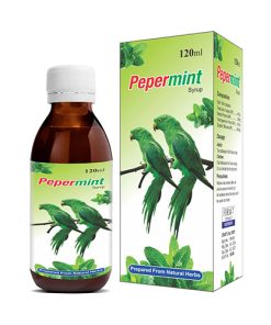 Pepermint Syrup for Gas