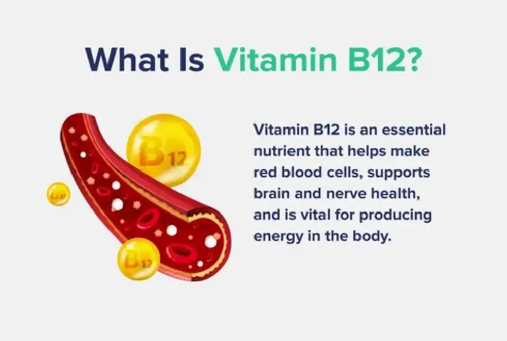 What is Vitamin B12 and Why is it Important? 