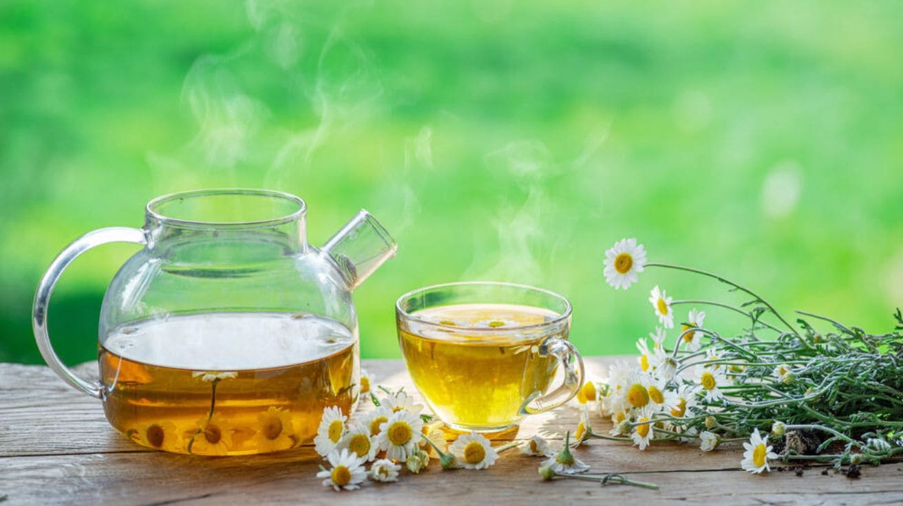 Chamomile tea with dried chamomile flowers, known for soothing gastritis and stomach cramps naturally.