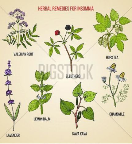 illustration showing herbal remedies for insomnia including valerian root, hops tea, lavender, lemon balm, chamomile, kava kava, and eleuthero with labeled plant drawings